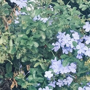 Meet your Posher, Juli